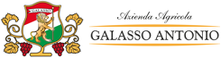 Azienda Agricola Galasso – Tuscan wine Logo